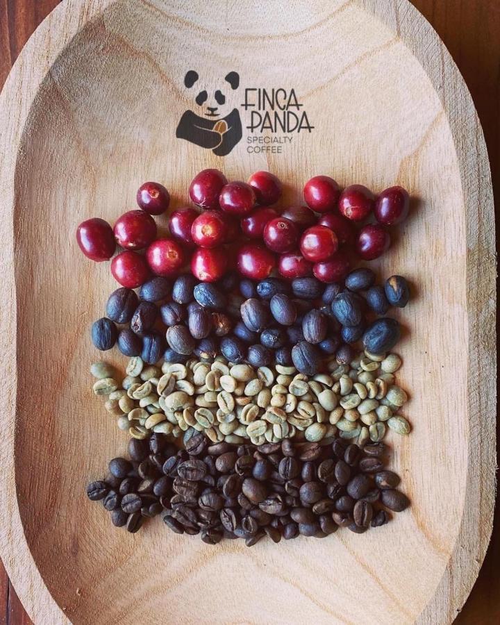 Finca Panda Бокете Экстерьер фото